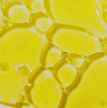 Load image into Gallery viewer, MILK + HONEY BODY OIL